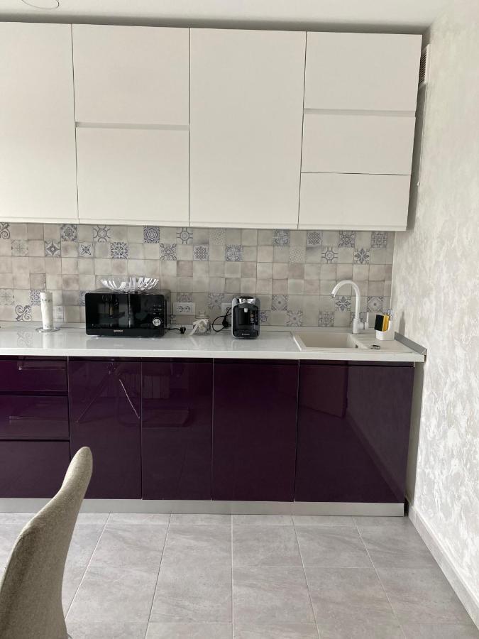 Dina Lux Iasi Apartment Eksteriør billede