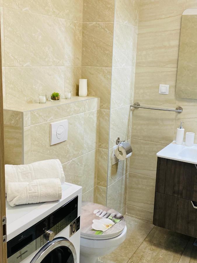 Dina Lux Iasi Apartment Eksteriør billede