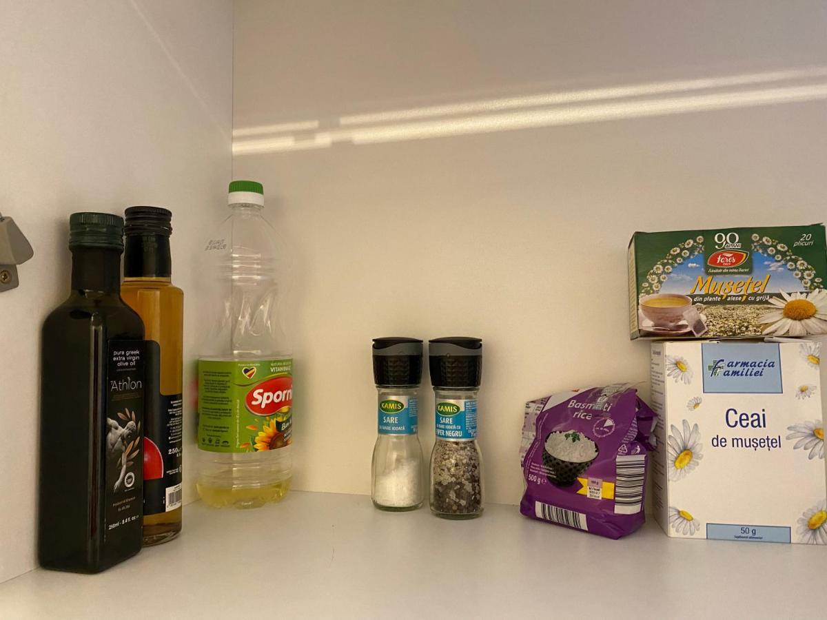 Dina Lux Iasi Apartment Eksteriør billede